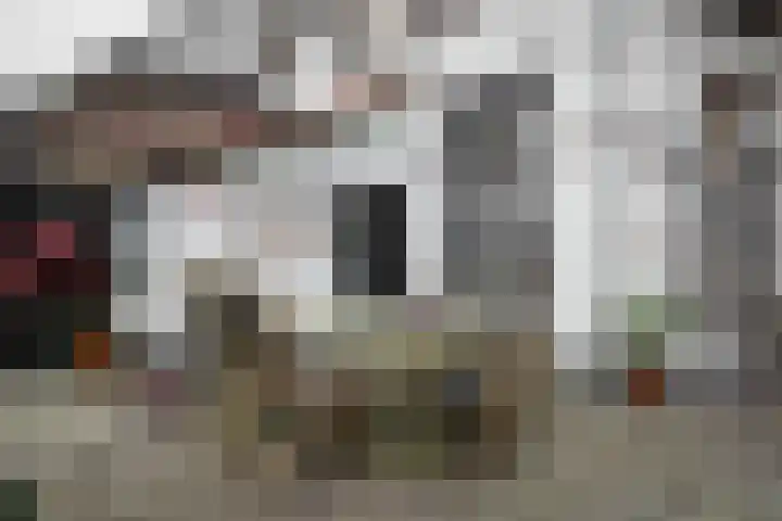 Vlijtweg 12 Epe thumbnail 36