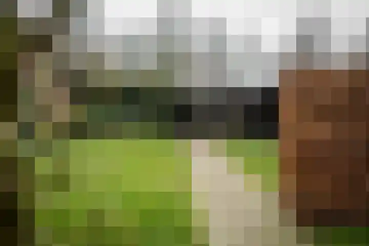 Vlijtweg 12 Epe thumbnail 37