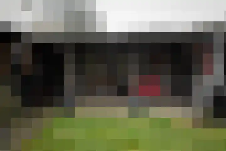 Vlijtweg 12 Epe thumbnail 41