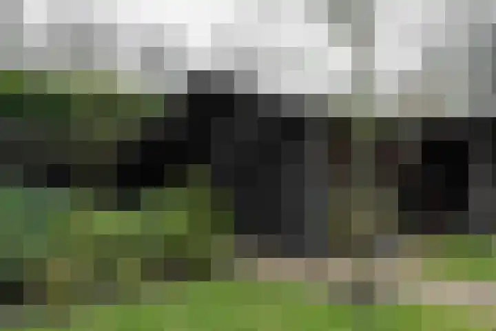 Vlijtweg 12 Epe thumbnail 43