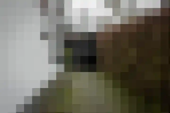 Vlijtweg 12 Epe thumbnail 49