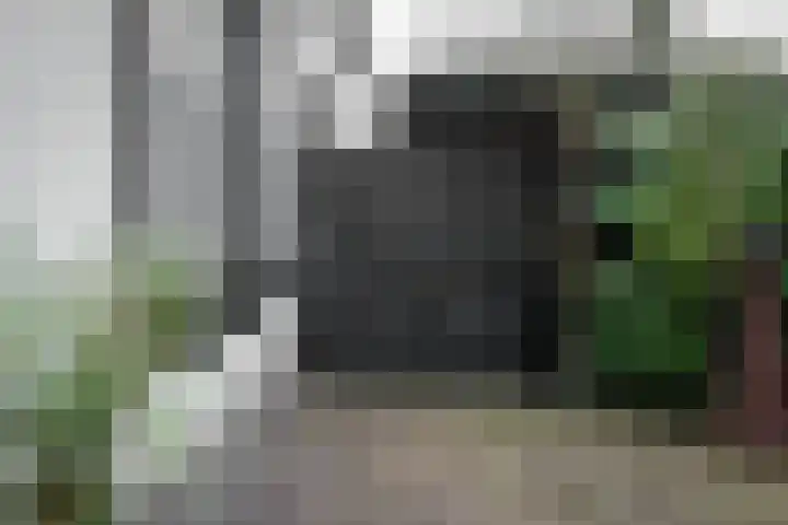 Vlijtweg 12 Epe thumbnail 51