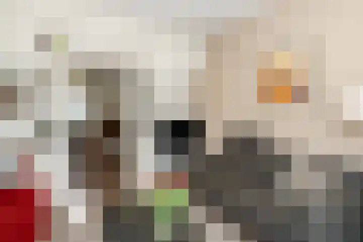 Vlijtweg 12 Epe thumbnail 9