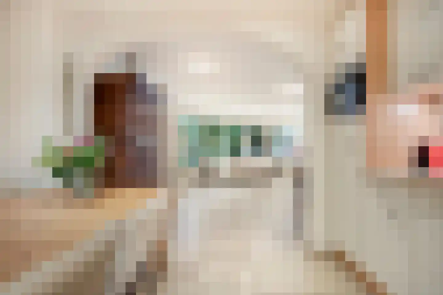 Vlijtweg 20 Epe thumbnail 12