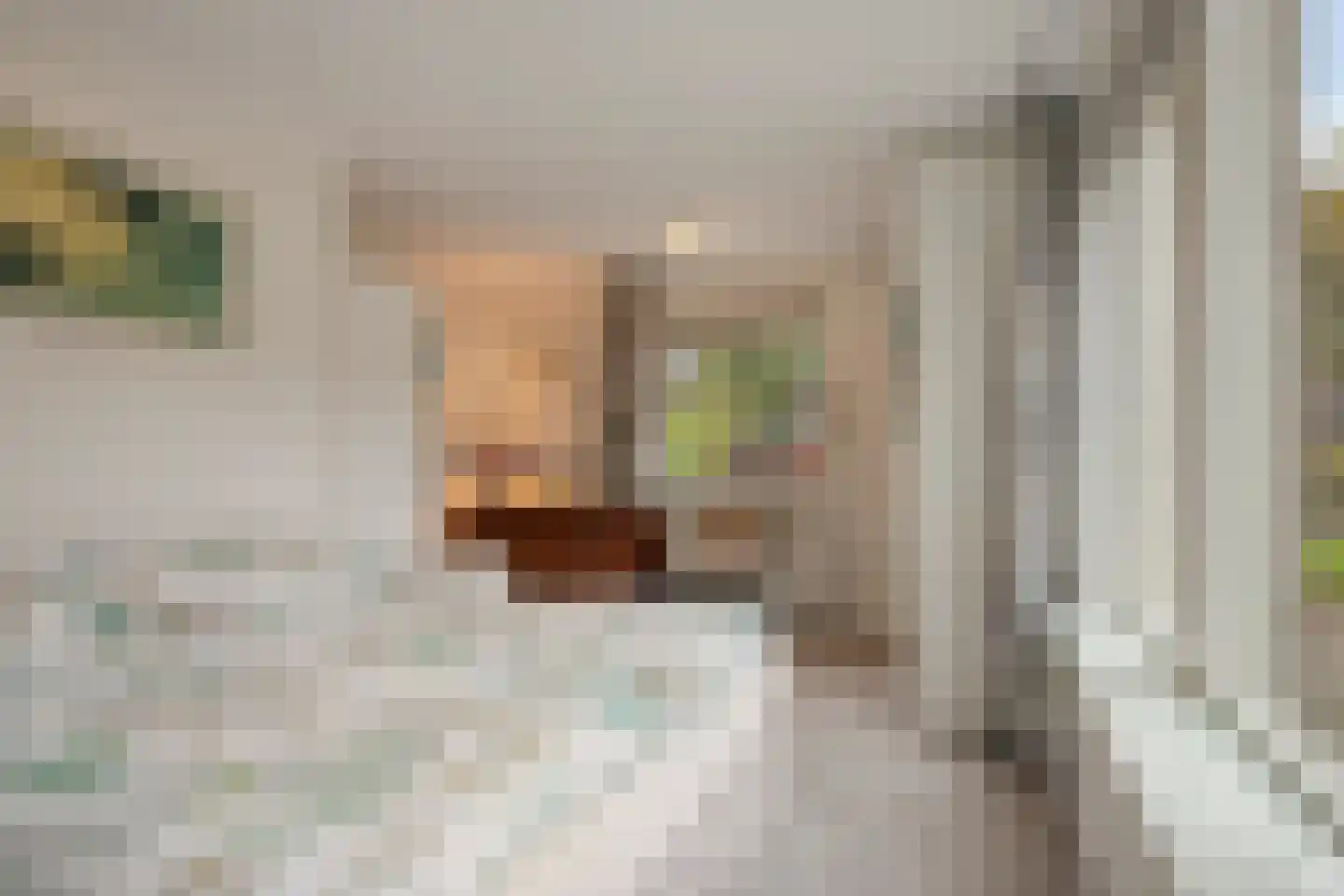 Vlijtweg 20 Epe thumbnail 14