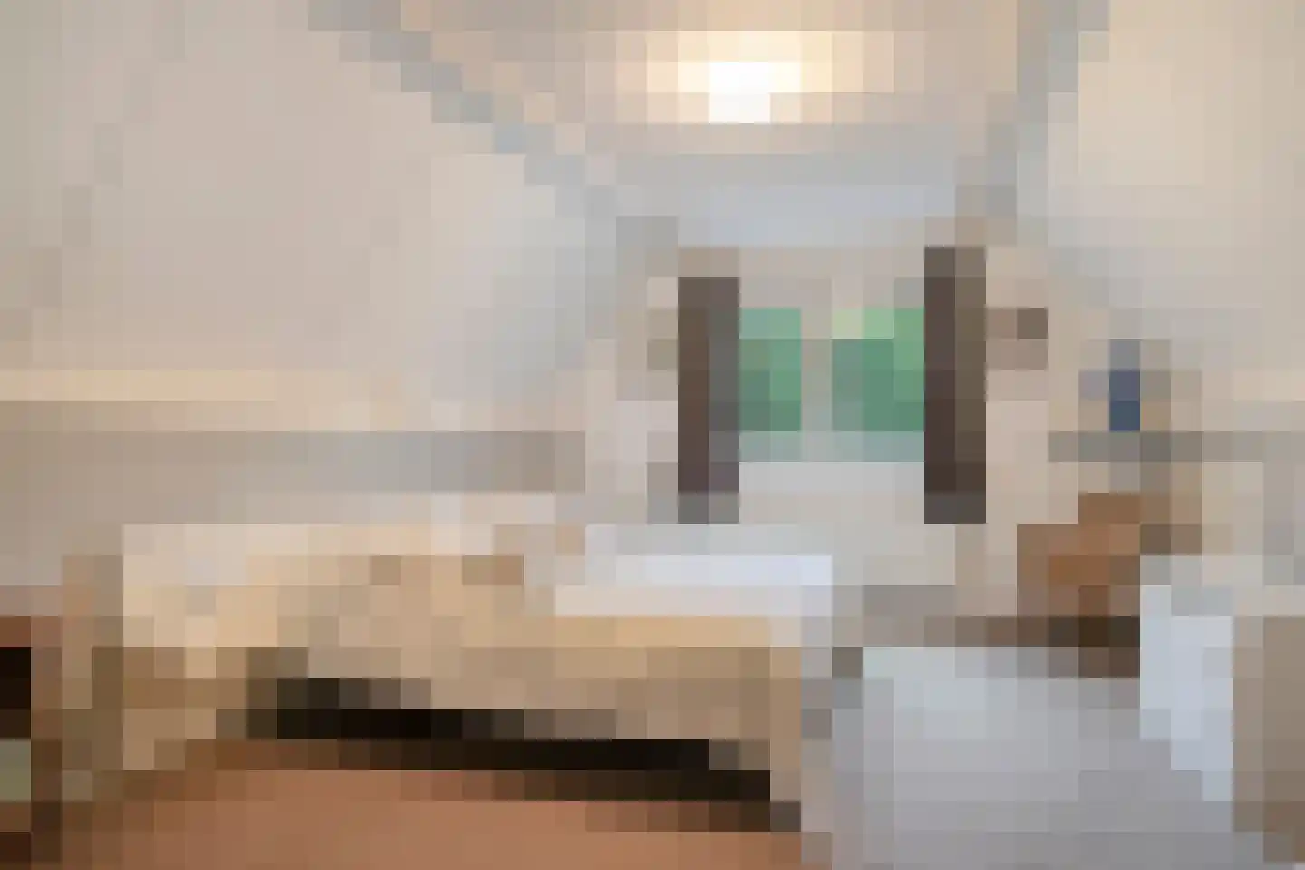 Vlijtweg 20 Epe thumbnail 21