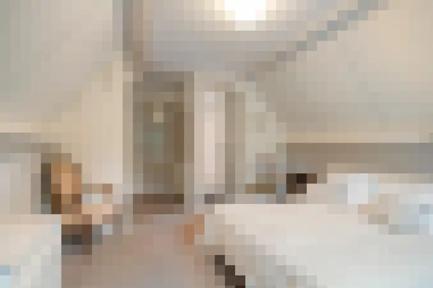 Vlijtweg 20 Epe thumbnail 23