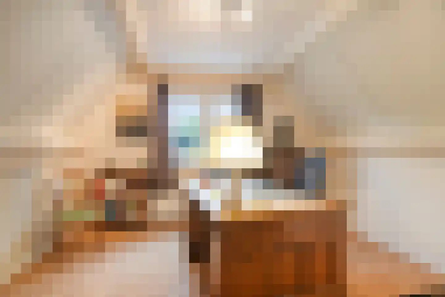 Vlijtweg 20 Epe thumbnail 24