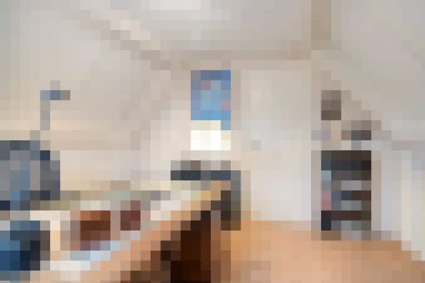 Vlijtweg 20 Epe thumbnail 25