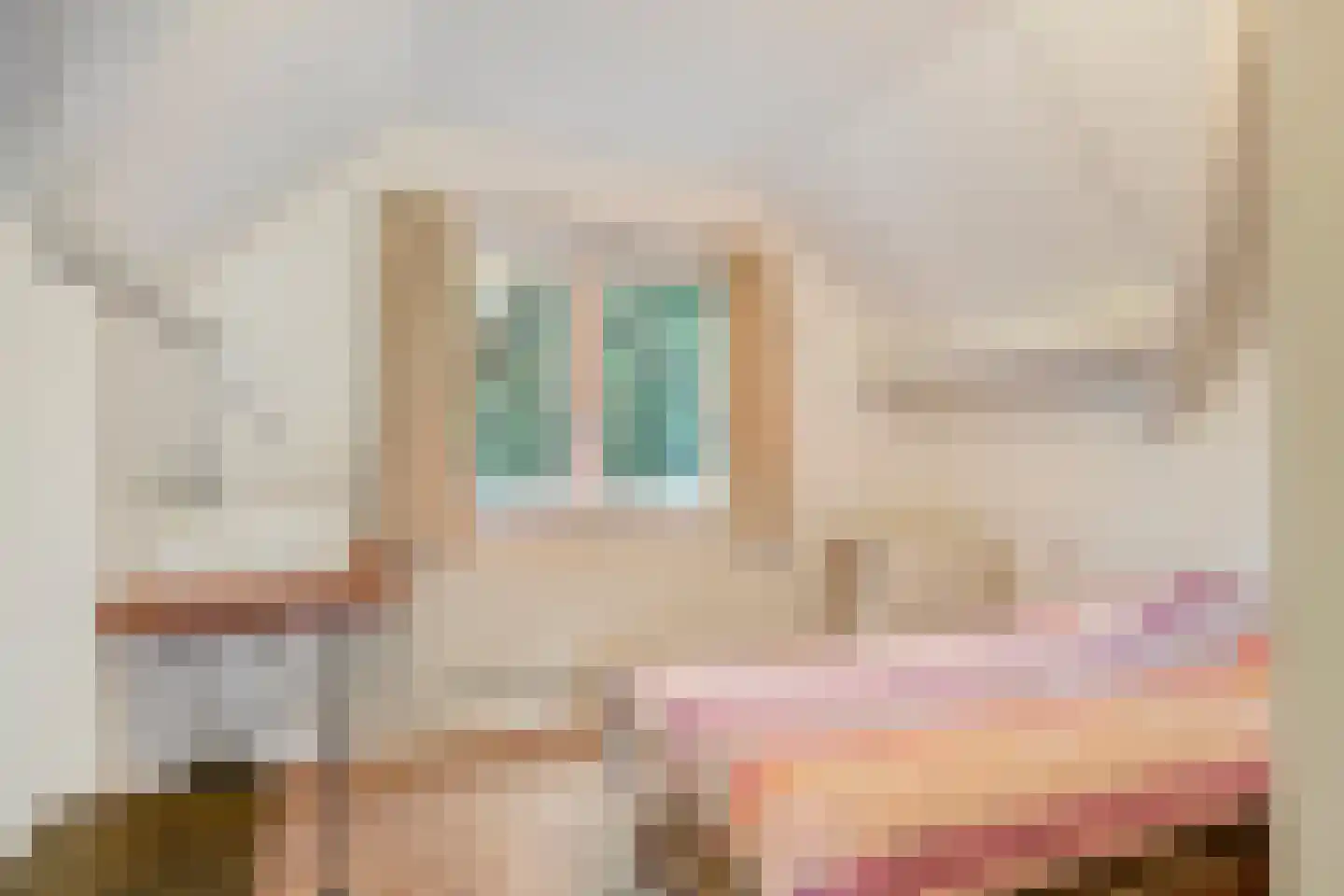 Vlijtweg 20 Epe thumbnail 26
