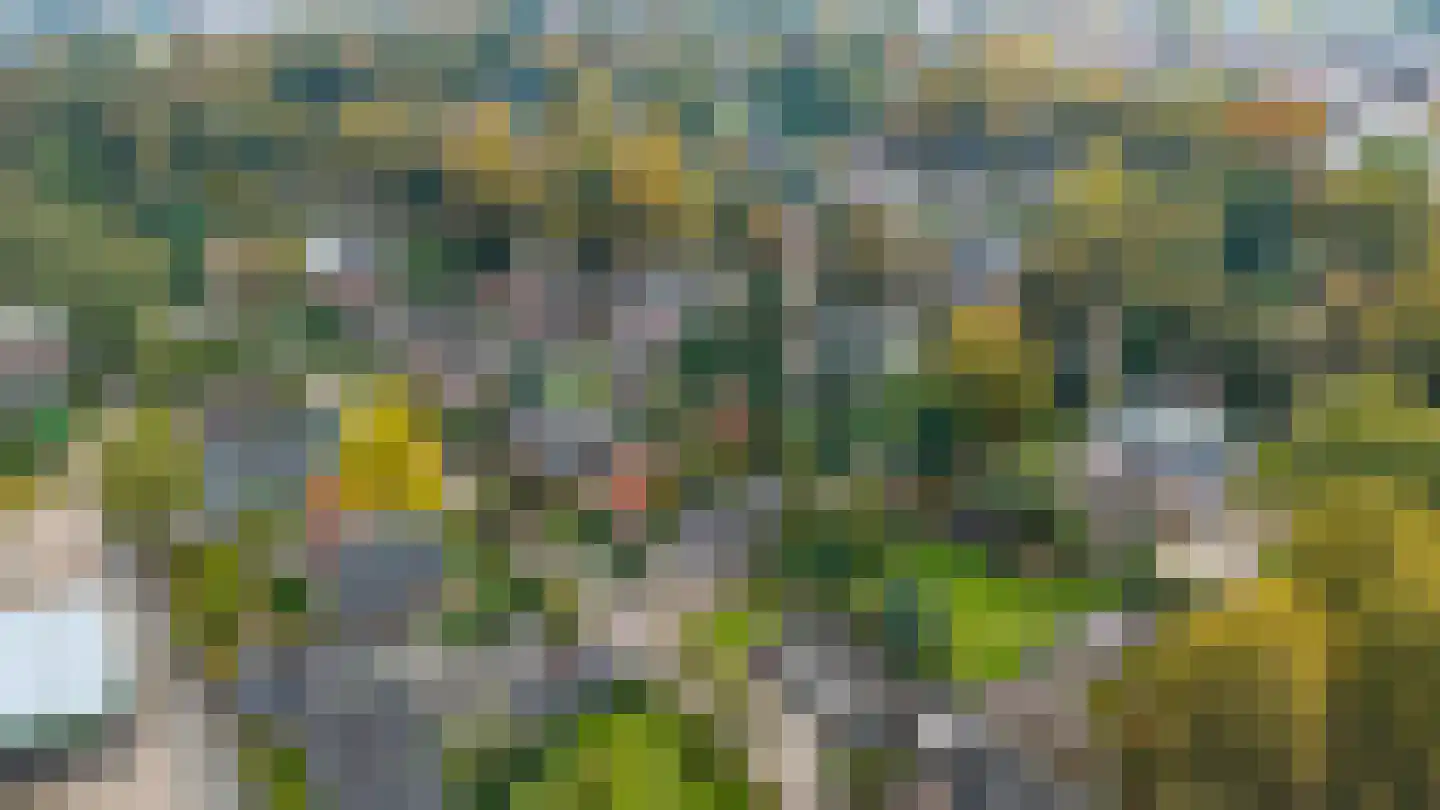 Vlijtweg 20 Epe thumbnail 28