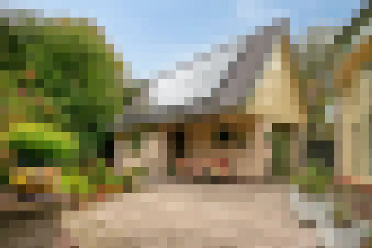 Vlijtweg 20 Epe thumbnail 30