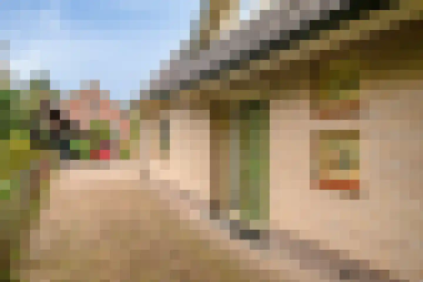 Vlijtweg 20 Epe thumbnail 33