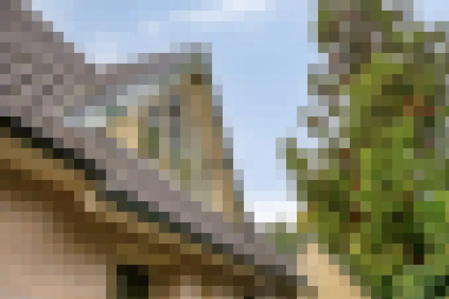 Vlijtweg 20 Epe thumbnail 34