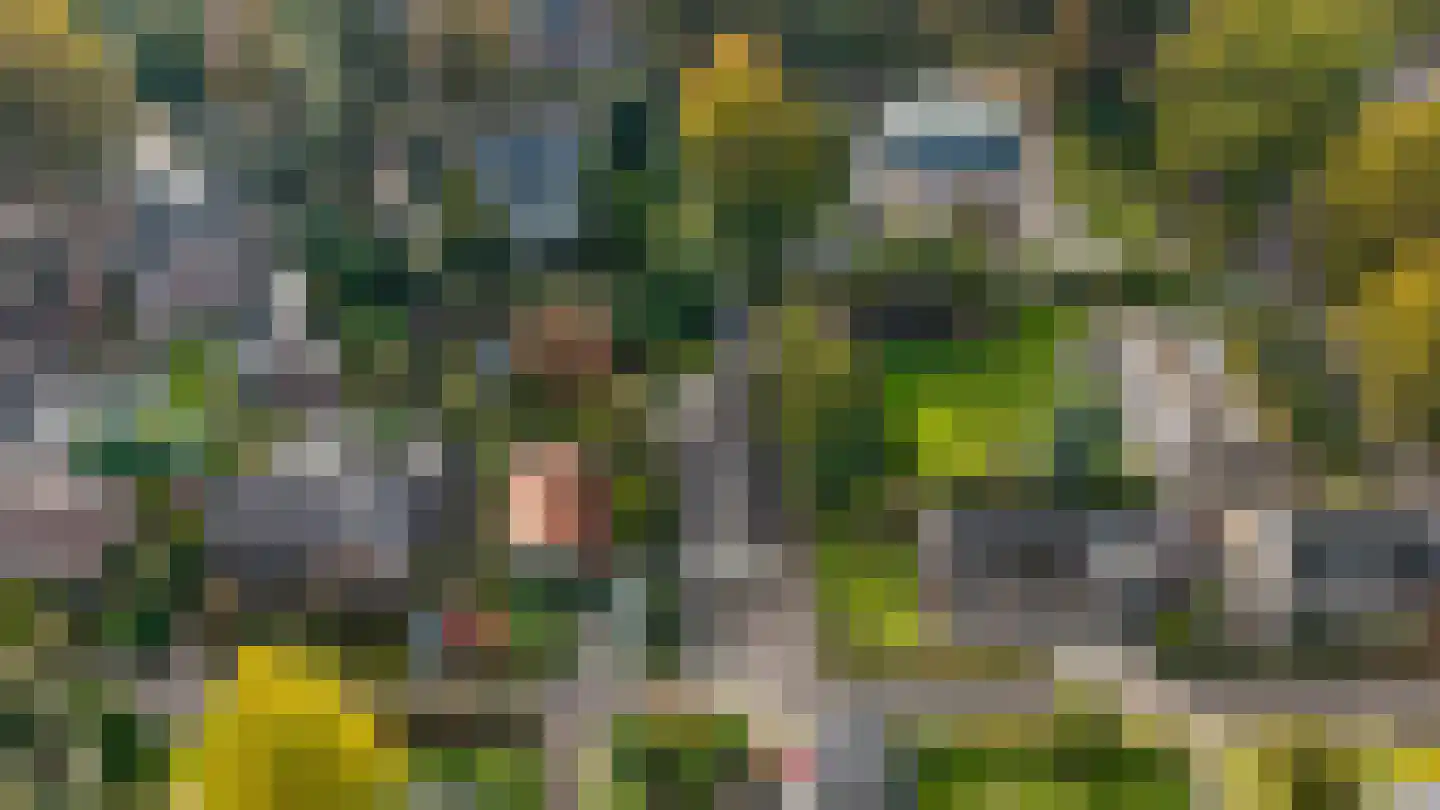 Vlijtweg 20 Epe thumbnail 37