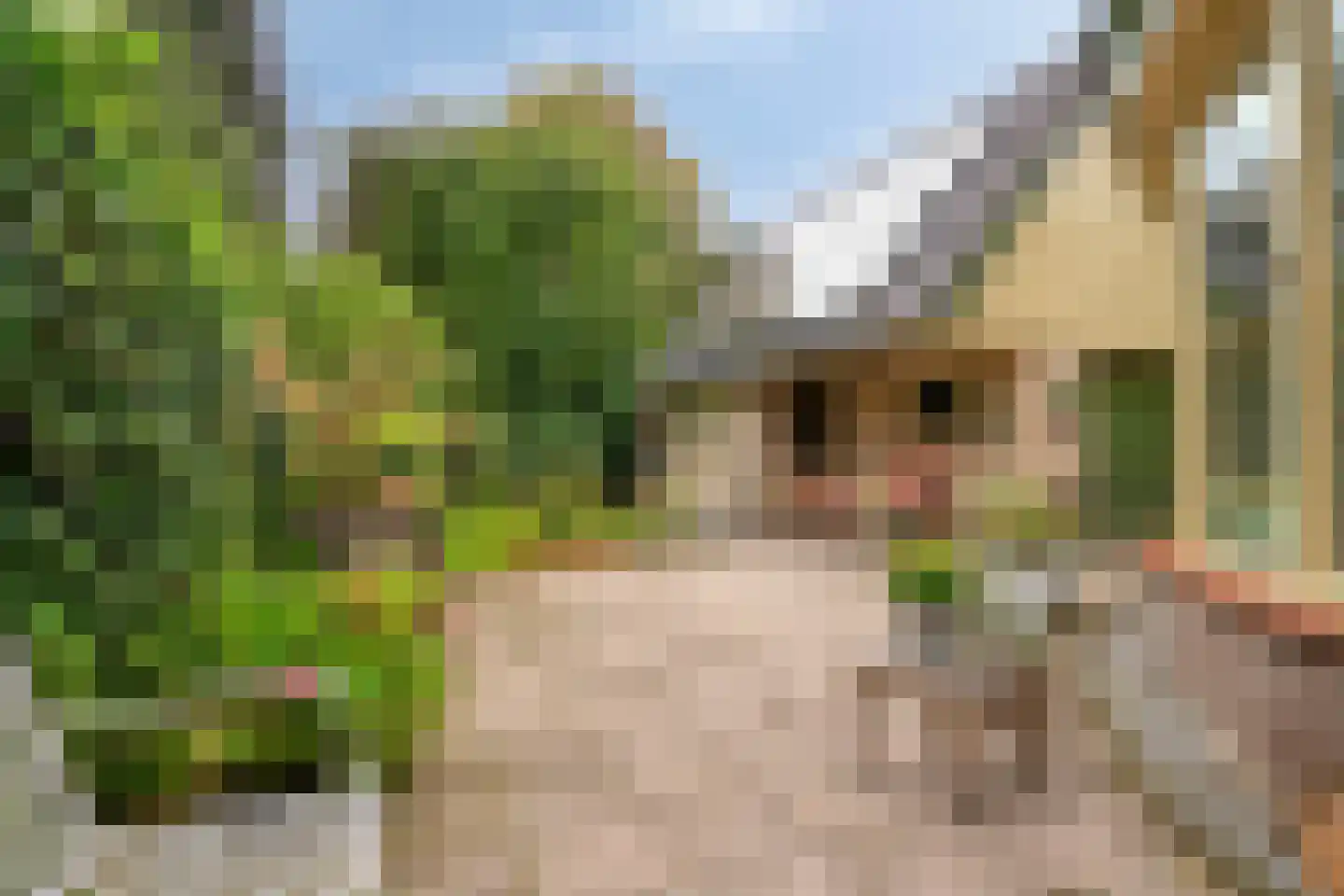 Vlijtweg 20 Epe thumbnail 6