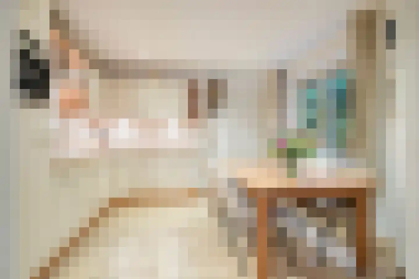 Vlijtweg 20 Epe thumbnail 9