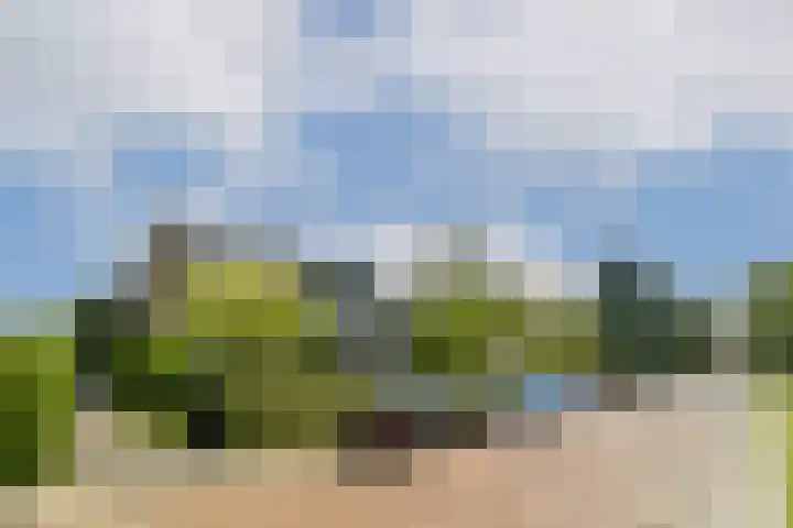 Vlijweg 4 Dordrecht thumbnail 36
