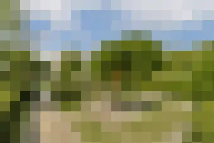 Vlijweg 4 Dordrecht thumbnail 37