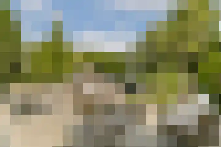 Vlijweg 4 Dordrecht thumbnail 39