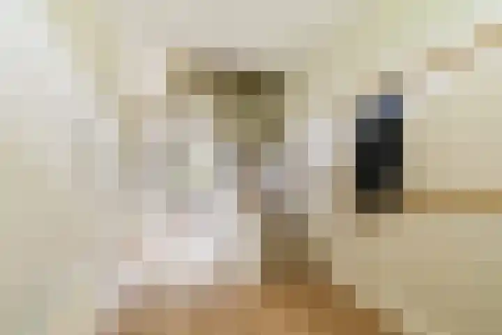 Vlijweg 4 Dordrecht thumbnail 4