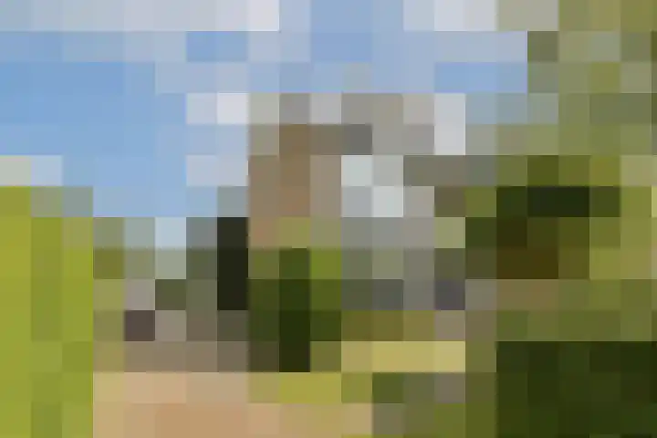 Vlijweg 4 Dordrecht thumbnail 43
