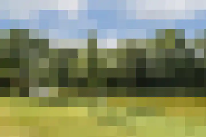 Vlijweg 4 Dordrecht thumbnail 44