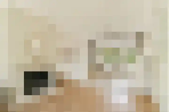Vlijweg 4 Dordrecht thumbnail 8