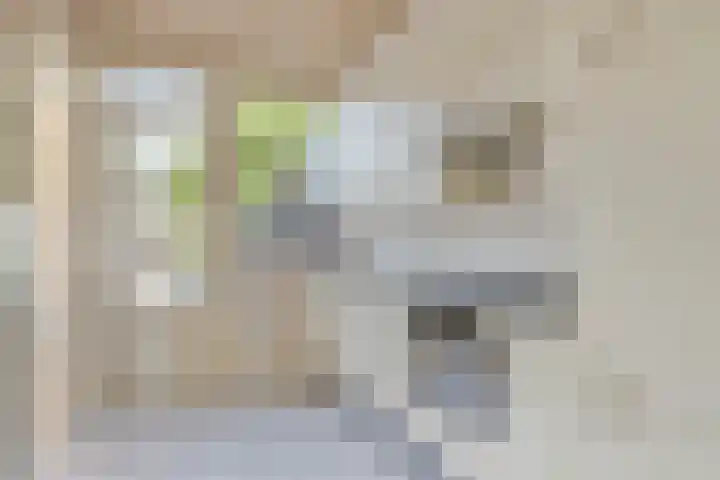 Vlimmerenstraat 47 Breda thumbnail 8