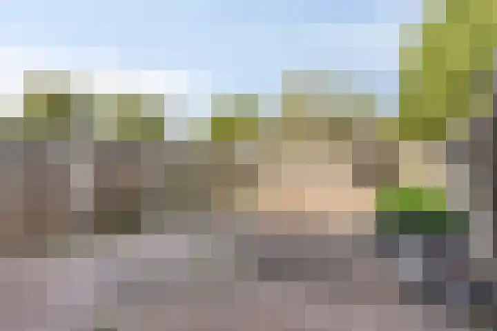 Vlimmerenstraat 47 Breda thumbnail 9