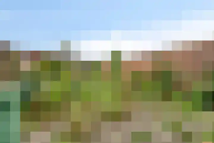 Vlimmerenstraat 59 Breda thumbnail 8