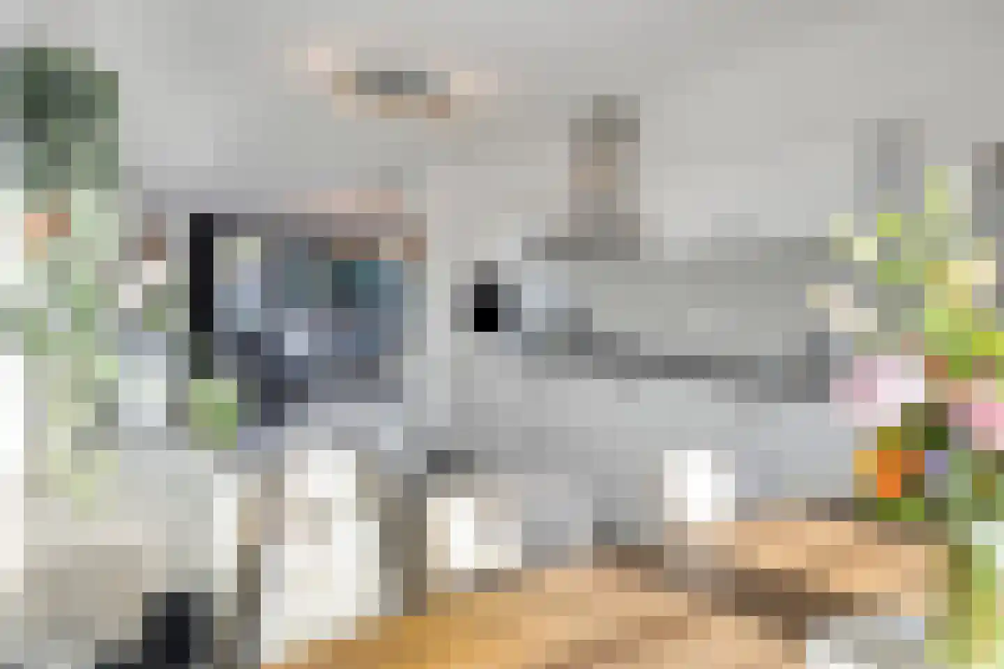 Vlinder 26 Veldhoven thumbnail 10