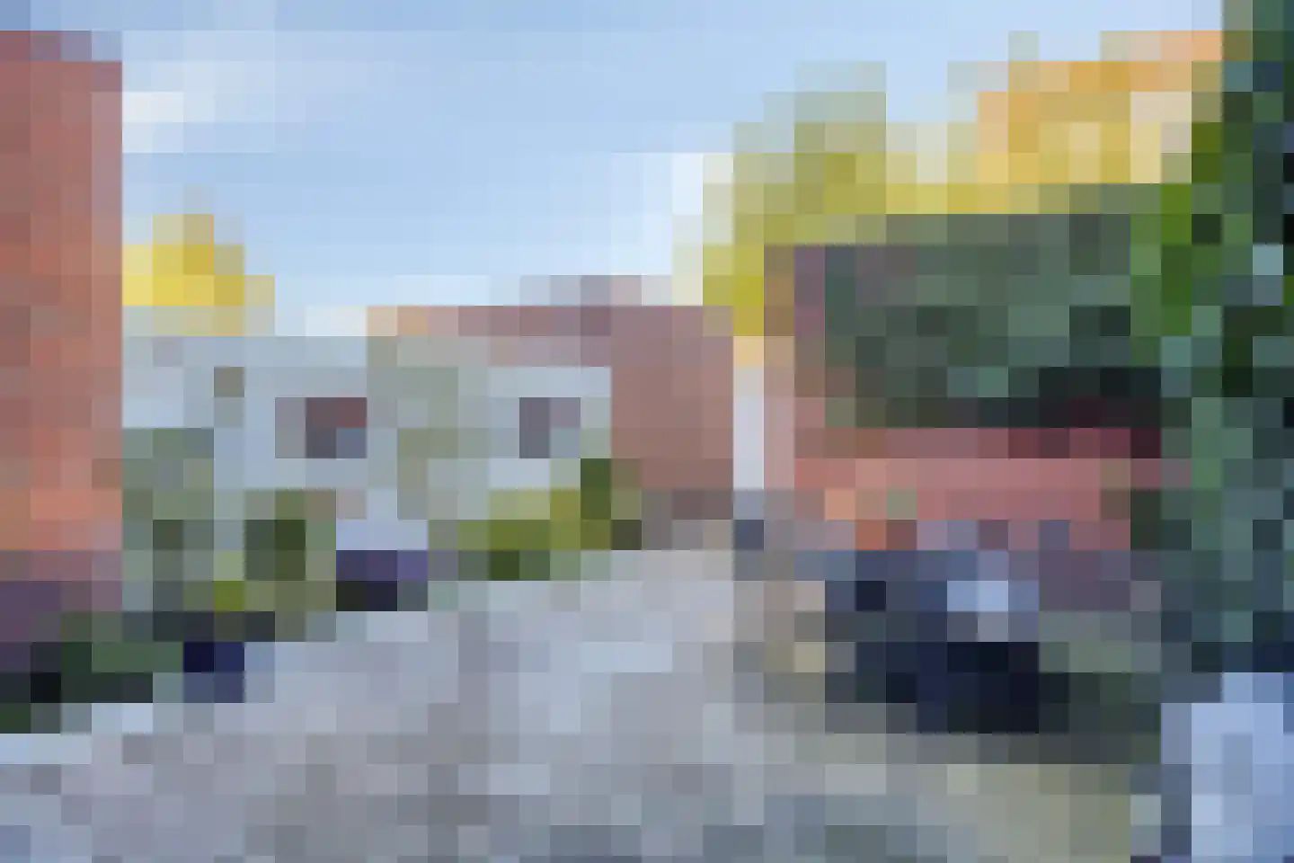 Vlinder 26 Veldhoven thumbnail 28