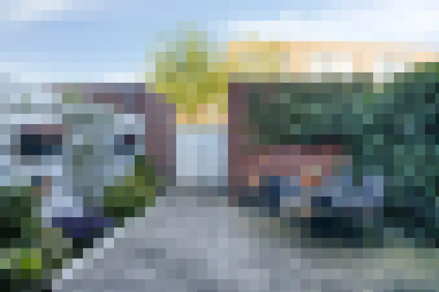 Vlinder 26 Veldhoven thumbnail 29