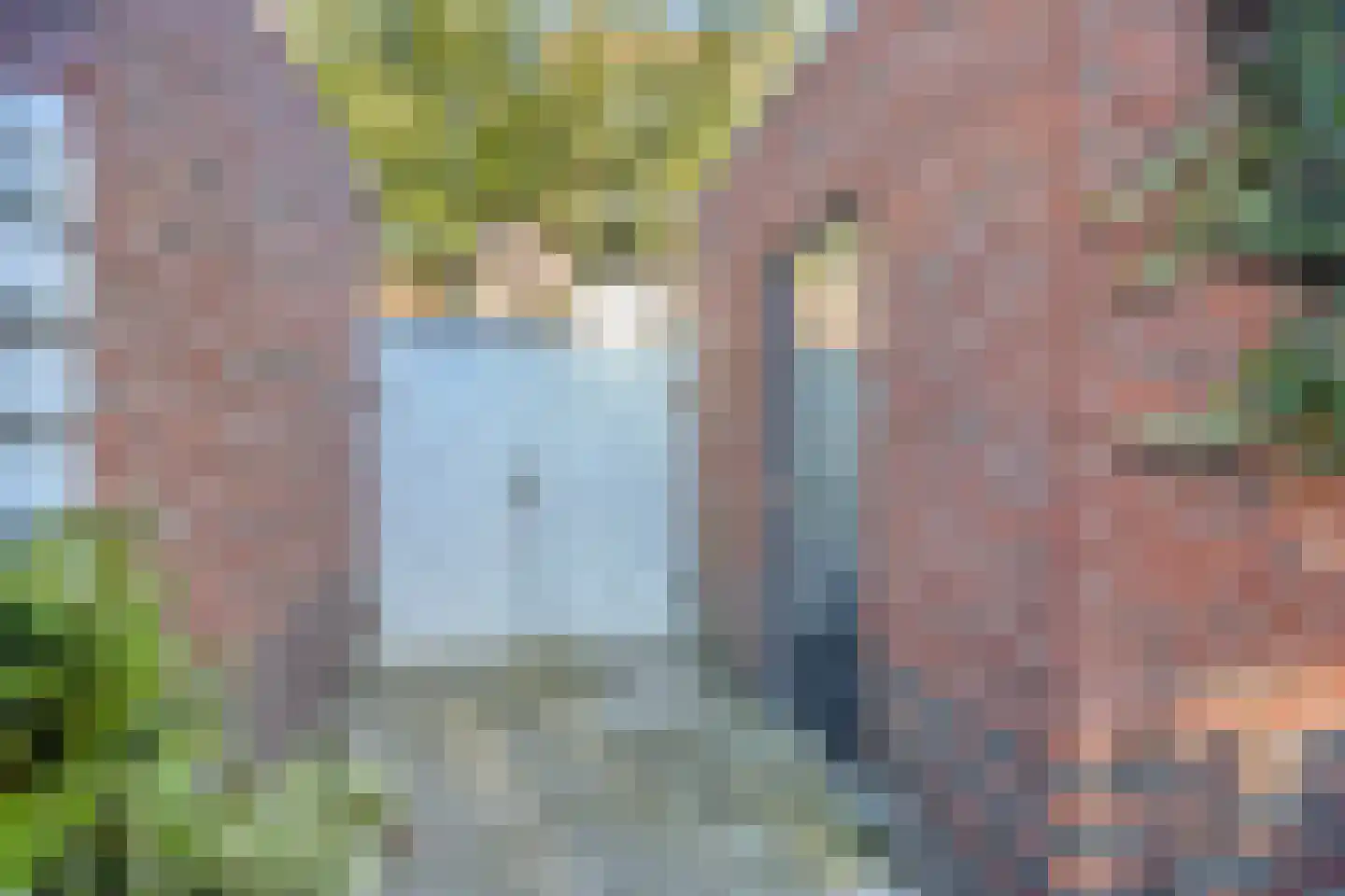Vlinder 26 Veldhoven thumbnail 30