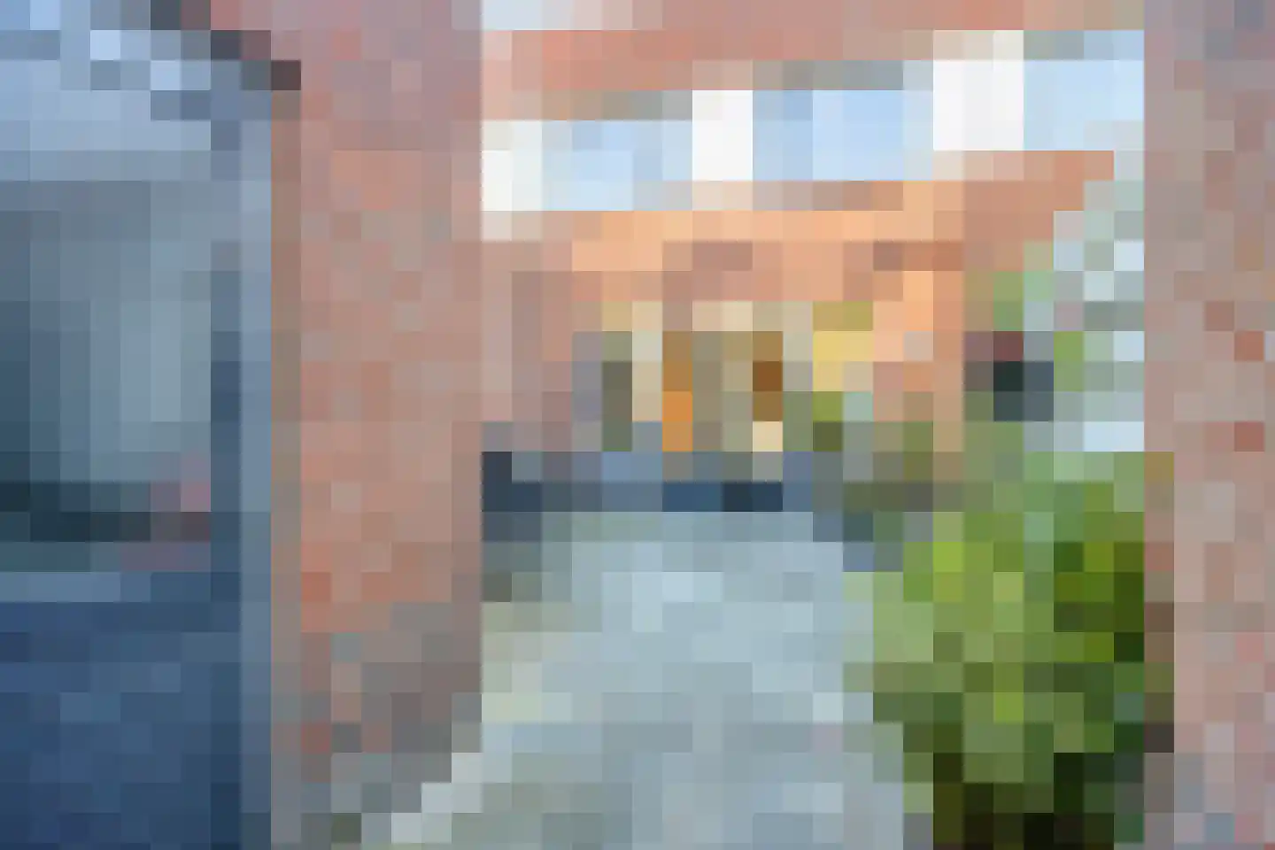Vlinder 26 Veldhoven thumbnail 31