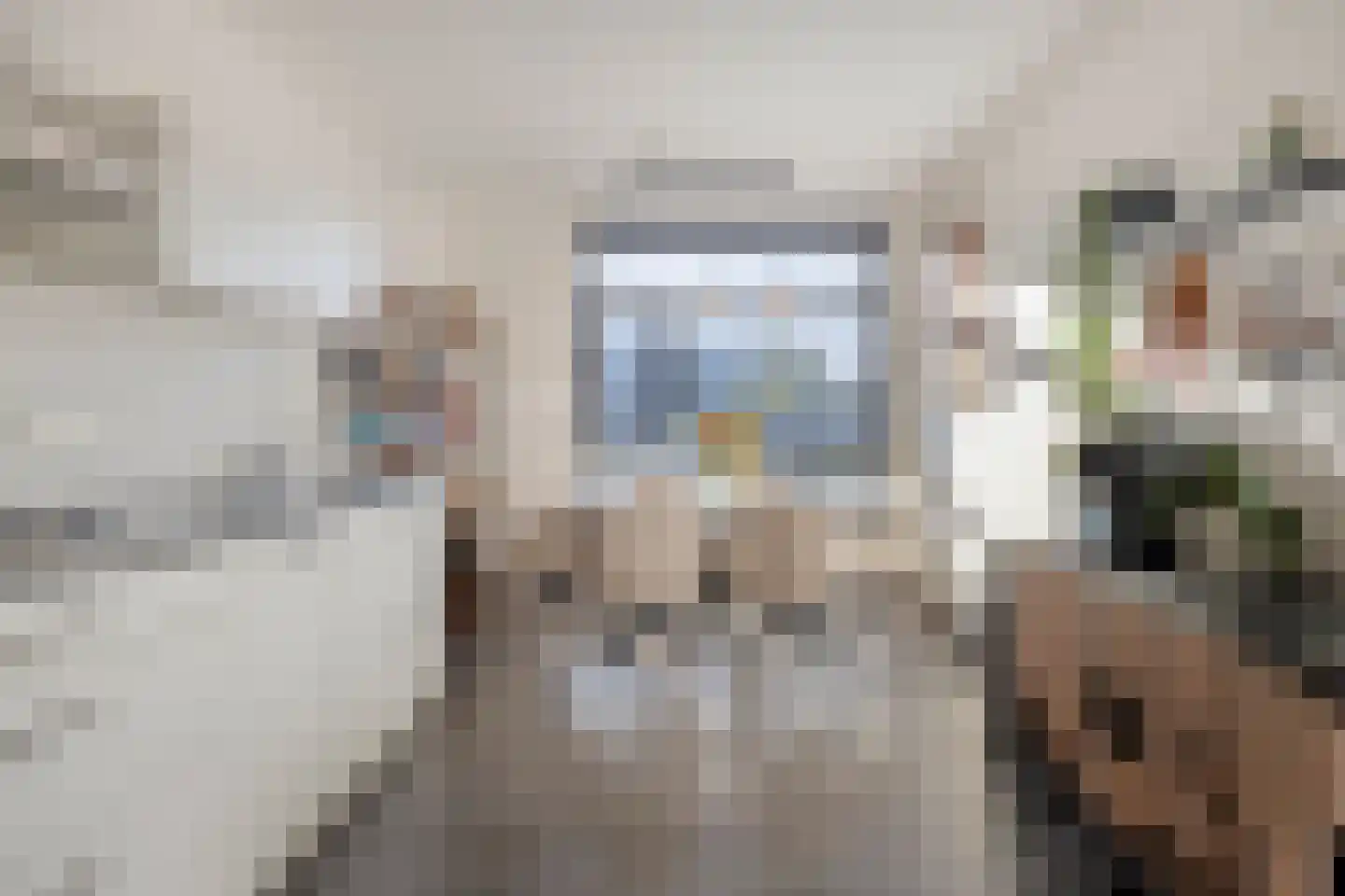 Vlinder 26 Veldhoven thumbnail 8