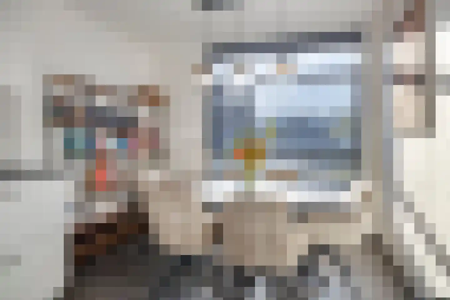 Vlinder 26 Veldhoven thumbnail 9