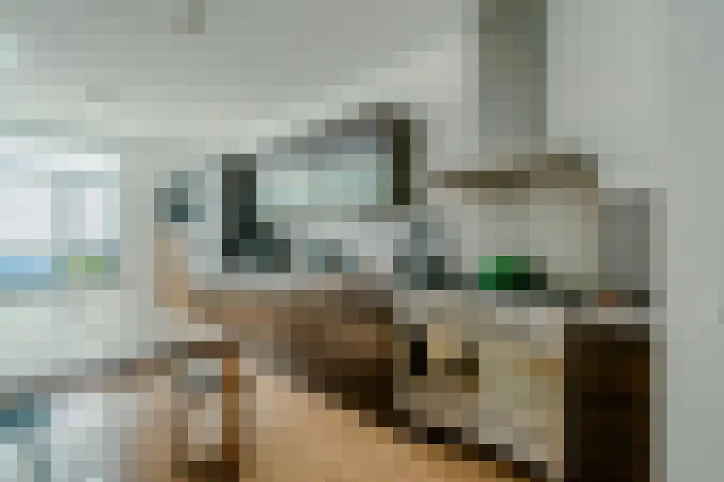 Vlinder 8 Veldhoven thumbnail 15