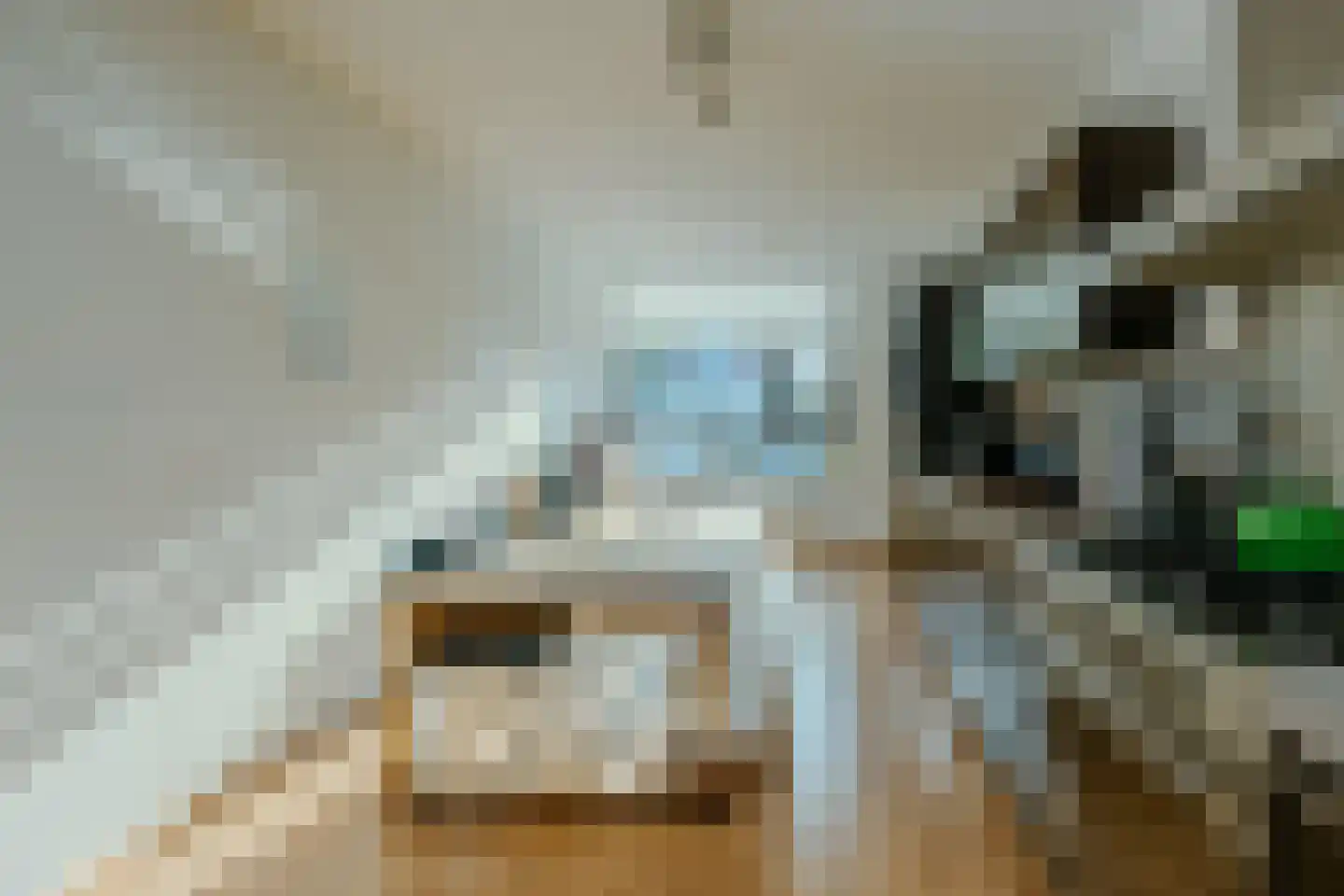 Vlinder 8 Veldhoven thumbnail 16