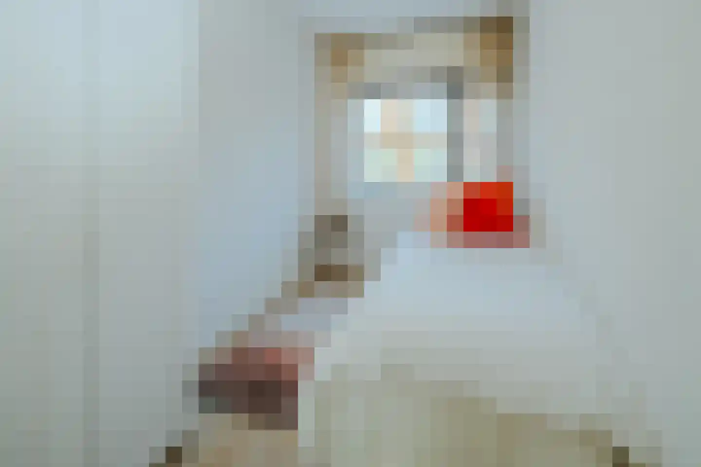 Vlinder 8 Veldhoven thumbnail 24