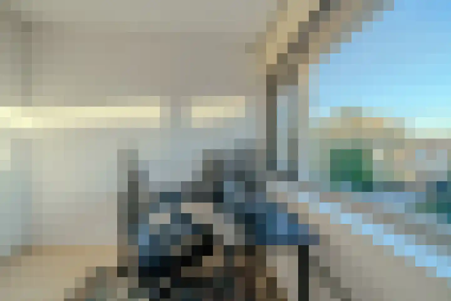 Vlinder 8 Veldhoven thumbnail 33