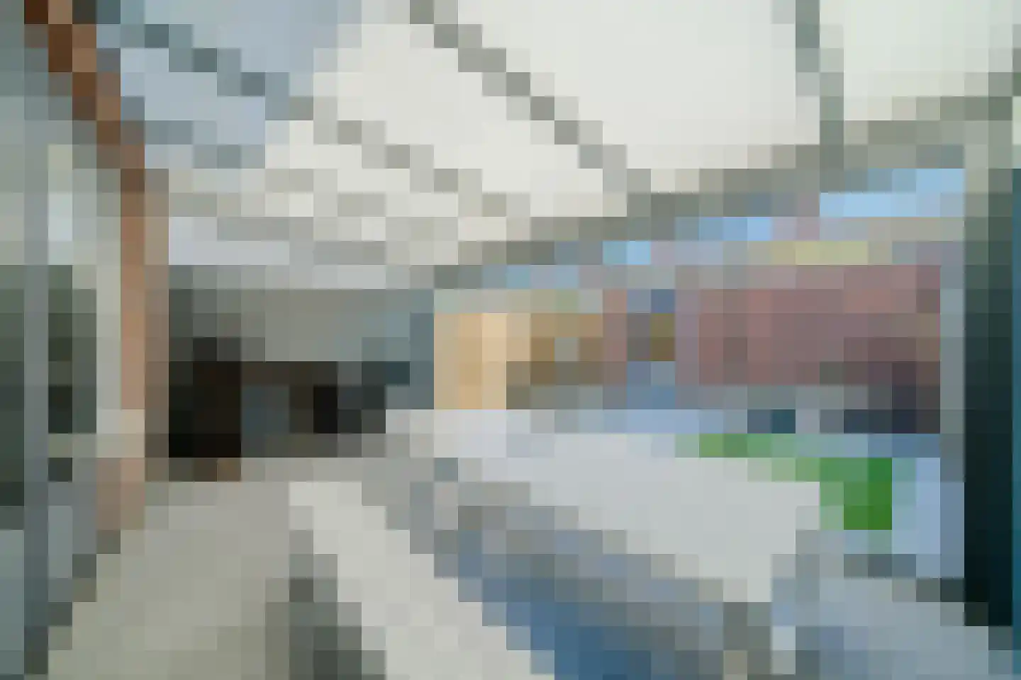Vlinder 8 Veldhoven thumbnail 4