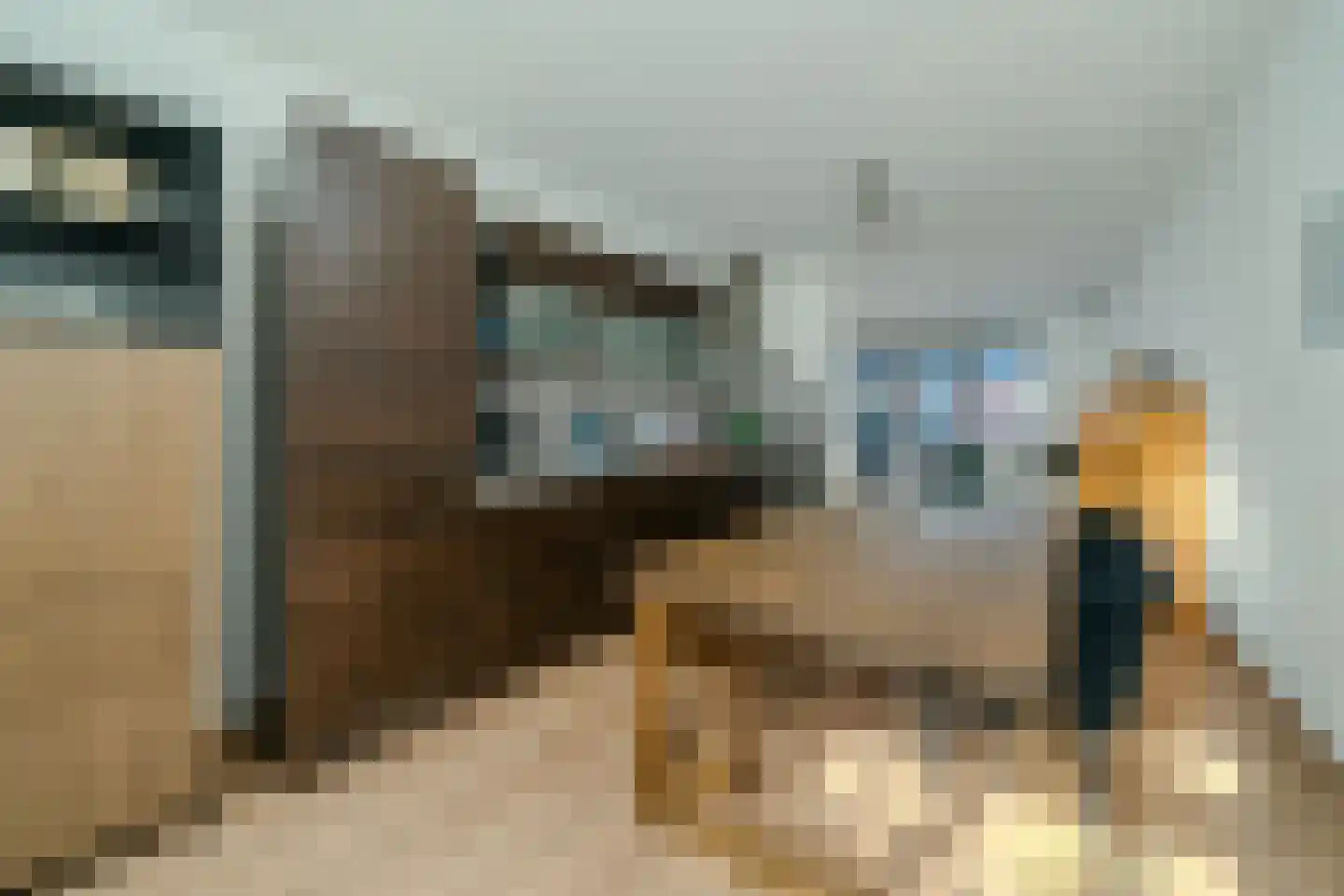 Vlinder 8 Veldhoven thumbnail 5
