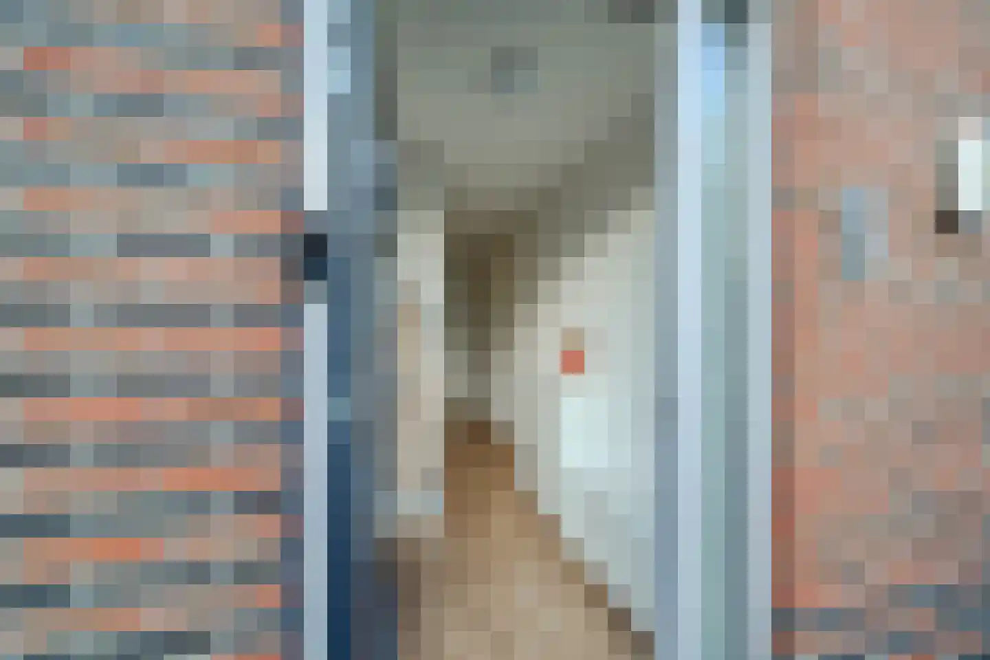 Vlinder 8 Veldhoven thumbnail 6