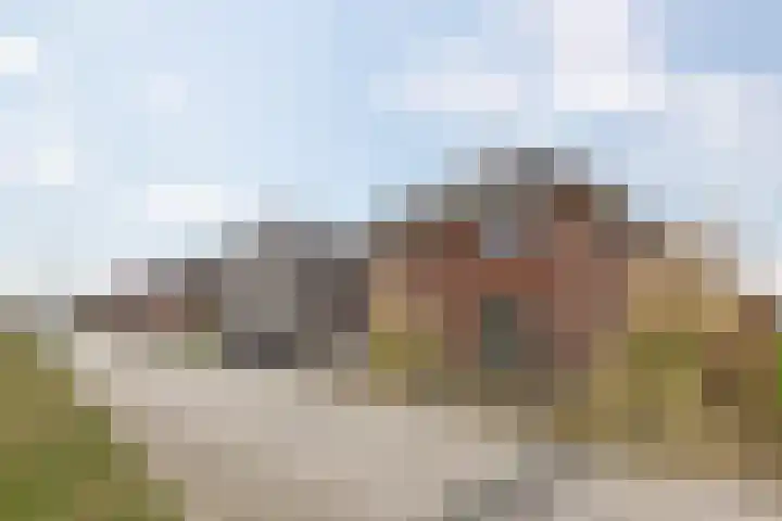 Vlinderbalg 10 Groningen thumbnail 10