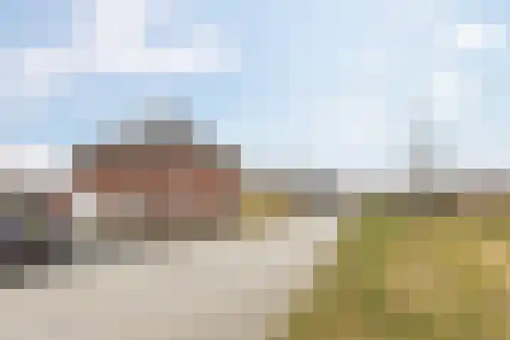 Vlinderbalg 10 Groningen thumbnail 11