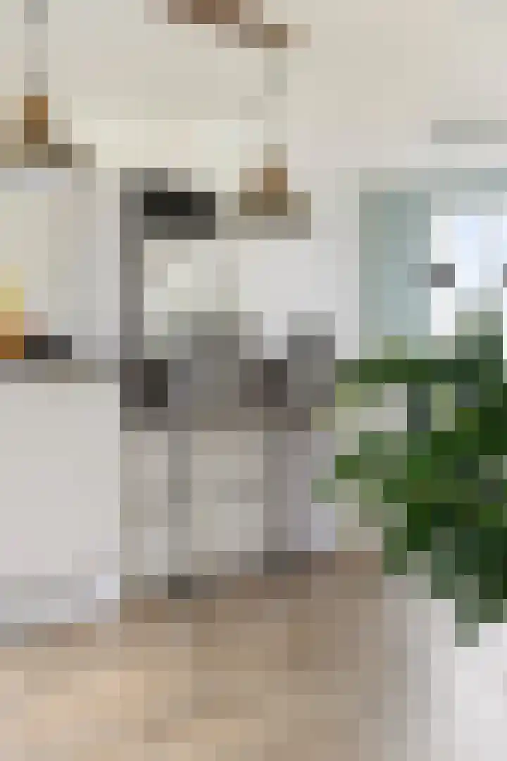 Vlinderbalg 10 Groningen thumbnail 15
