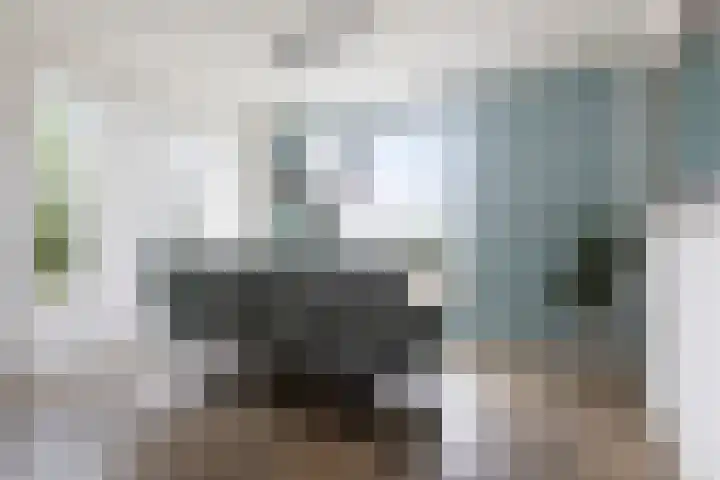 Vlinderbalg 10 Groningen thumbnail 18
