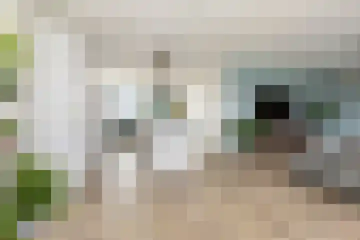 Vlinderbalg 10 Groningen thumbnail 20